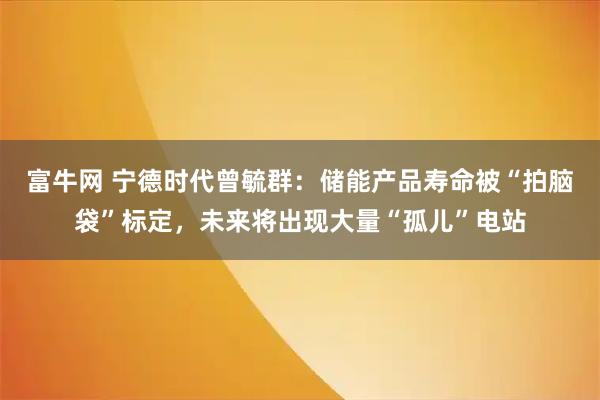 富牛网 宁德时代曾毓群：储能产品寿命被“拍脑袋”标定，未来将出现大量“孤儿”电站