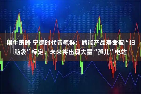 珺牛策略 宁德时代曾毓群：储能产品寿命被“拍脑袋”标定，未来将出现大量“孤儿”电站