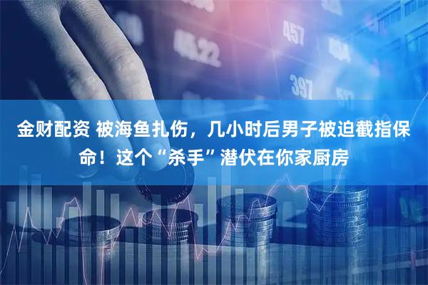 金财配资 被海鱼扎伤，几小时后男子被迫截指保命！这个“杀手”潜伏在你家厨房