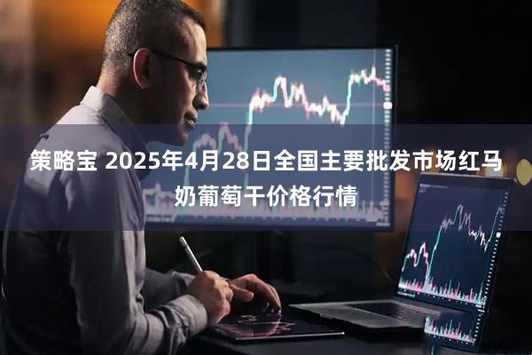 策略宝 2025年4月28日全国主要批发市场红马奶葡萄干价格行情