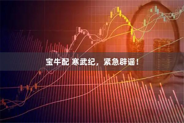 宝牛配 寒武纪，紧急辟谣！